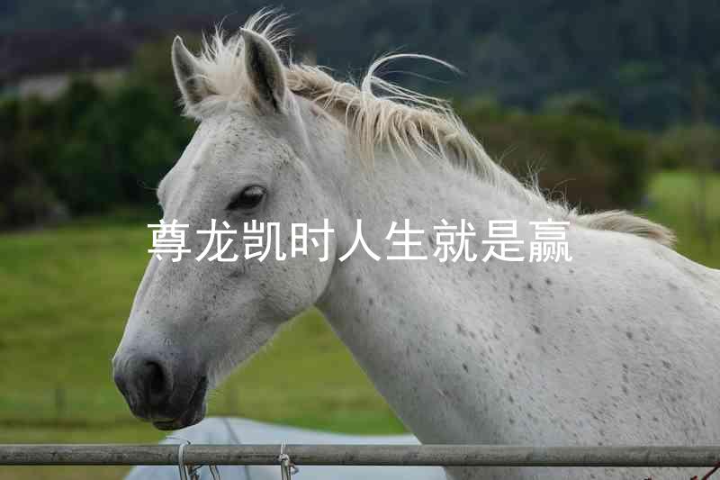 尊龙凯时人生就是赢